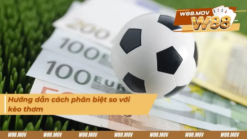 Cách nhận biết giữa kèo thơm và kèo dụ